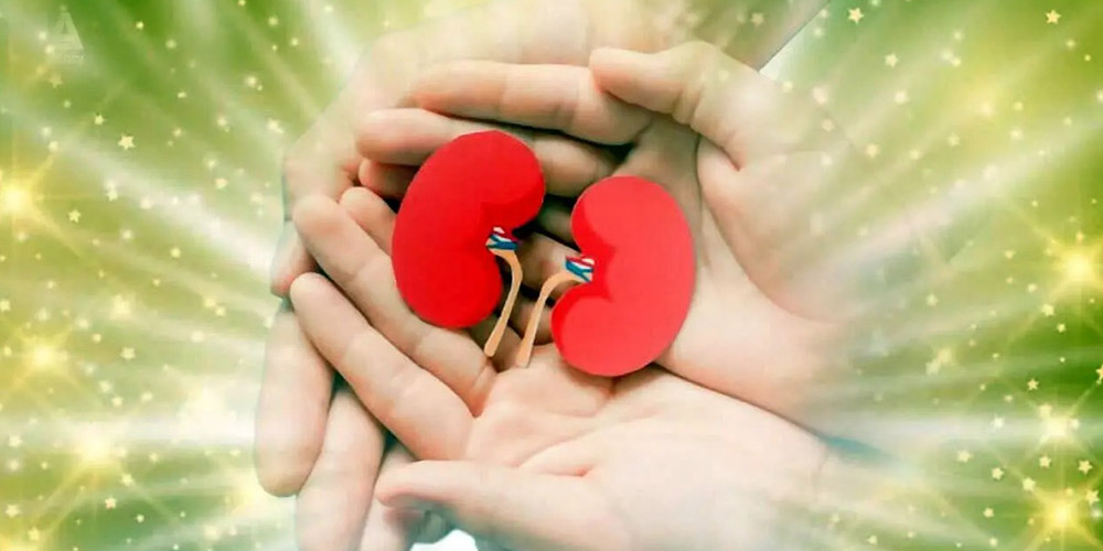 اهدای عضو