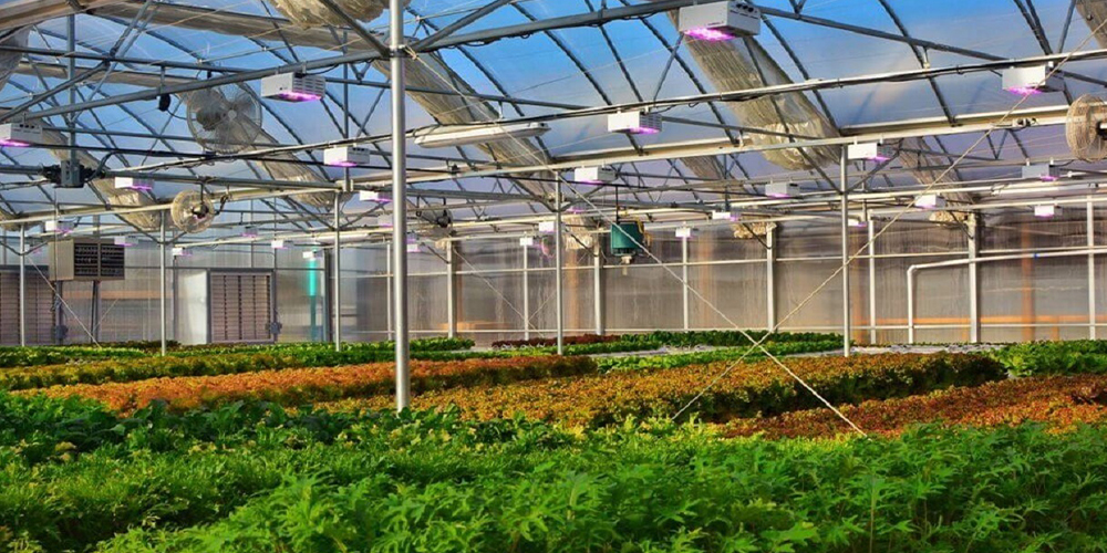گازرسانی گلخانه‌های شهرستان بروجن
