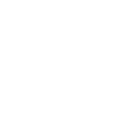 Online store 1